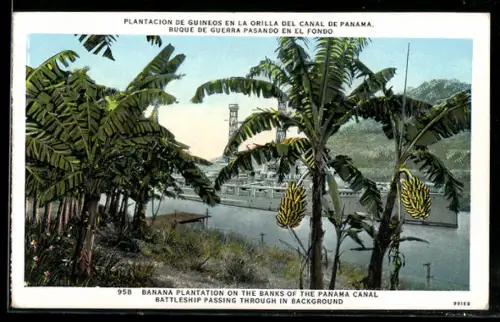 AK Panama, Banana Plantation on the Banks of the Panama Canal