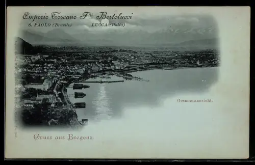 Mondschein-AK Bregenz, Stadtpanorama aus der Vogelschau