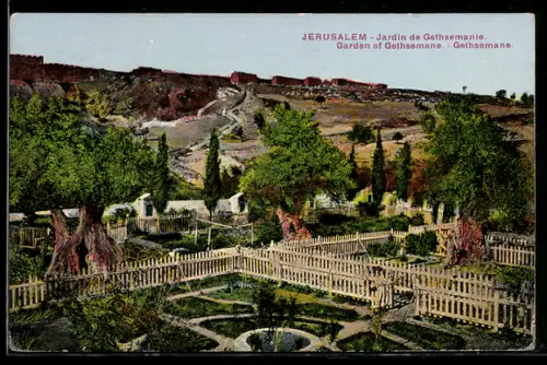 AK Jerusalem, Jardin de Gethsemanie