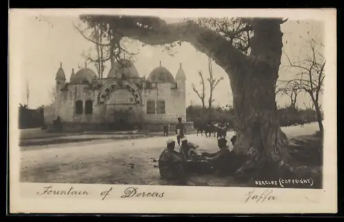 AK Jaffa, Fountain of Dorcas