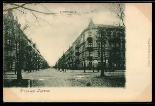 AK Berlin-Pankow, Strassenkreuzung mit Brehmestrasse