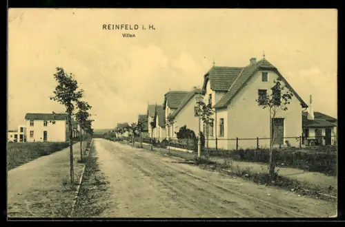 AK Reinfeld i. H., Ortspartie mit Villen