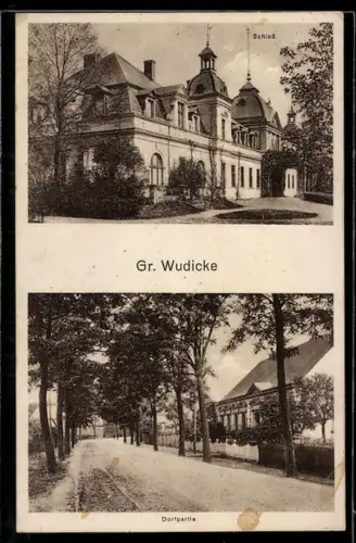 AK Gr. Wudicke, Blick auf das Schloss, Dorfpartie mit Wohnhäusern