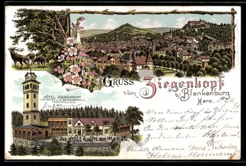Lithographie Blankenburg /Harz, Hotel Ziegenkopf, Ortsansicht mit Ziegenkopf
