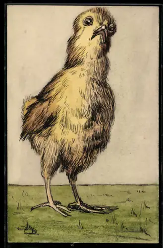 Künstler-AK Handgemalt: Kleines Küken mit erschrockenem Blick