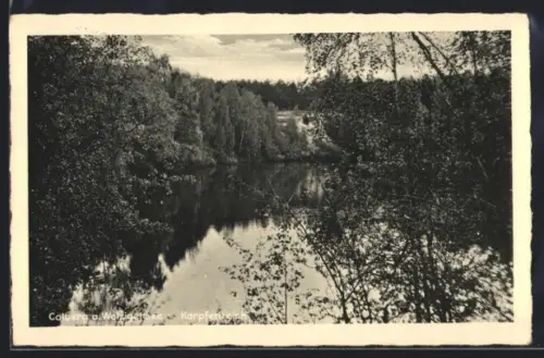 AK Colberg /Prieros, Gasthaus Moillisch, Karpfenteich