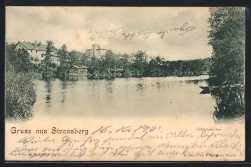 AK Strausberg, Schwanensee