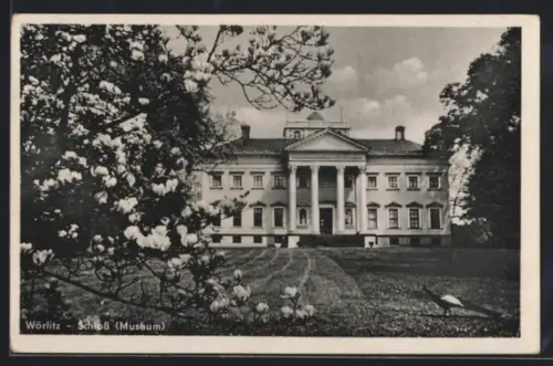 AK Wörlitz, Schloss, Museum