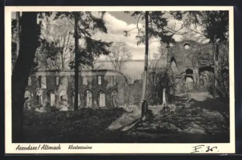 AK Arendsee /Altmark, Klosterruine