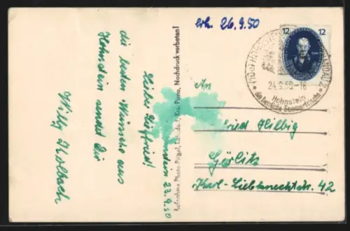 AK Hohnstein, Burg Hohnstein