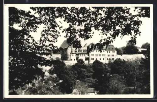 AK Beichlingen über Kölleda, Schloss Beichlingen