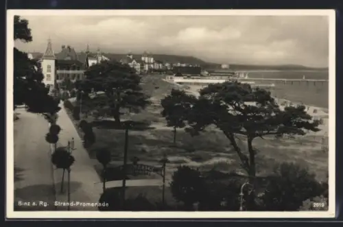AK Binz a. Rg., Strand-Promenade aus der Vogelschau
