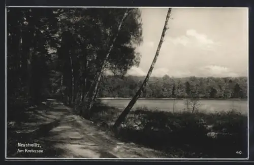AK Neustrelitz, Am Krebssee, Partie mit Waldweg