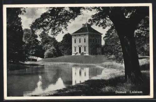 AK Dessau, Luisium vom Wasser aus, mit Brücke