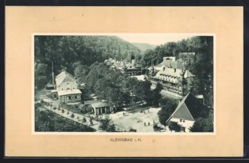 AK Alexisbad i. H., Ortsansicht mit Kurhäusern und Park