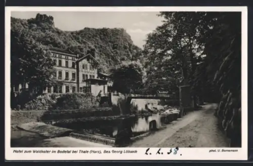 AK Thale /Harz, Bodetal, Hotel zum Waldkater Georg Löbsack