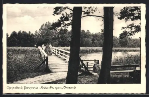 AK Prerow /Ostsee, Brücke zum Strand