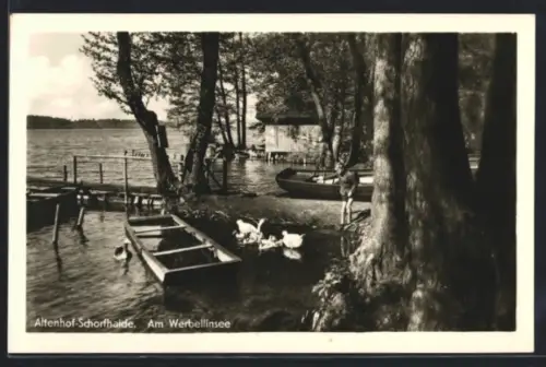AK Altenhof /Schorfheide, Am Werbellinsee, Bootshaus, Boote, Steg, Uferbäume