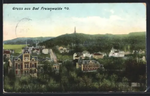 AK Bad Freienwalde a/O., Ortsansicht mit Aussichtsturm
