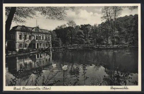 AK Bad Freienwalde /Oder, Gasthof Papenmühle, Teich, Brücke