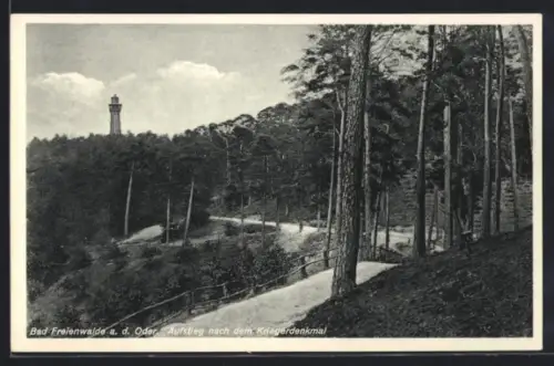 AK Bad Freienwalde a. d. Oder, Aufstieg nach dem Kriegerdenkmal