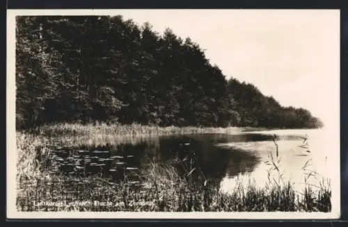 AK Lychen, Bucht am Zenssee