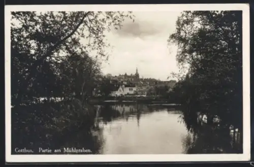 AK Cottbus, Ortsansicht vom Mühlgraben