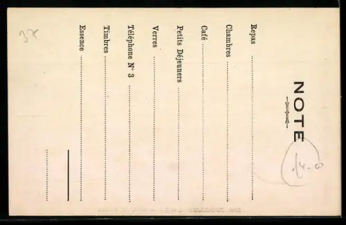 AK Richelieu /I.-et-L., Hôtel du Faisan