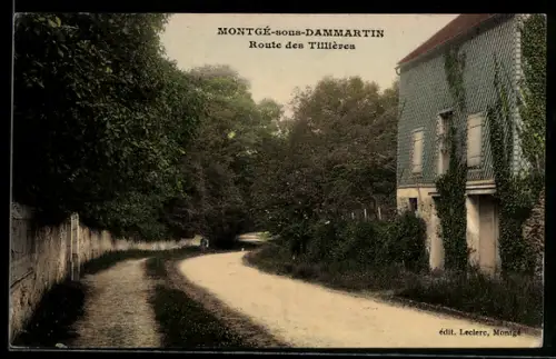 AK Montgé-sous-Dammartin, Route des Tillières