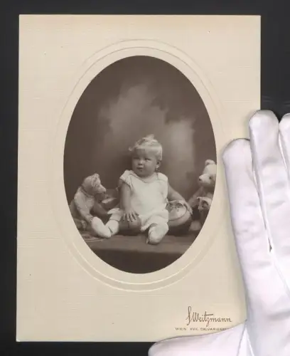 Fotografie S. Weitzmann, Wien, Calvarienbergg. 27, Kleinkind mit Teddy, Katzenplüschtier und Bällen