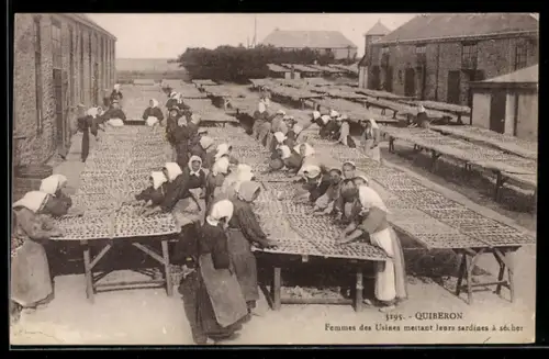 AK Quiberon, Femmes des Usines mettant leurs Sardines a secher