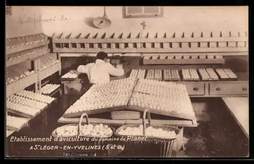 AK St-Léger-en-Yvelines, Établissement d`aviculture du domaine de Planet