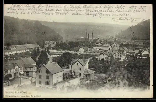 AK Hérimoncourt, Terre-Blanche, Vue générale