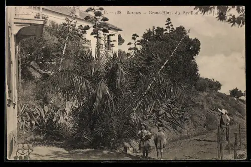 AK Bormes, Grand-Hôtel du Pavillon, Les Jardins
