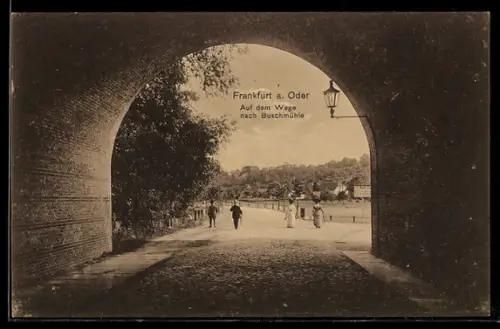 AK Frankfurt a. Oder, Aussicht aus Tunnel, Auf dem Wege nach Buschmühle