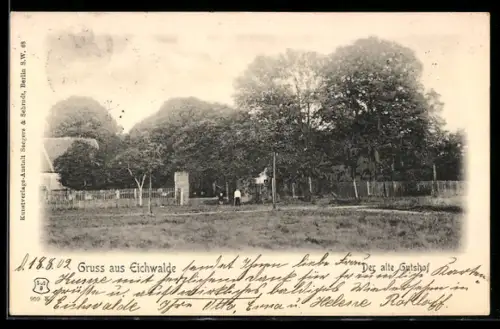 AK Eichwalde, Blick zum neuen Gutshof