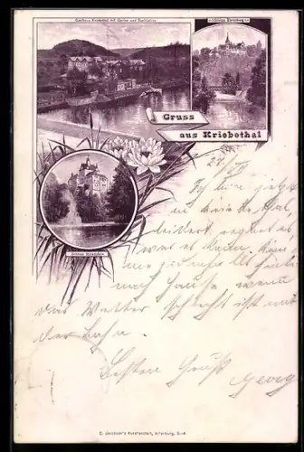 Lithographie Kriebethal, Gasthaus Kriebethal mit Farten u. Bootsstation und Schloss Ehrenberg