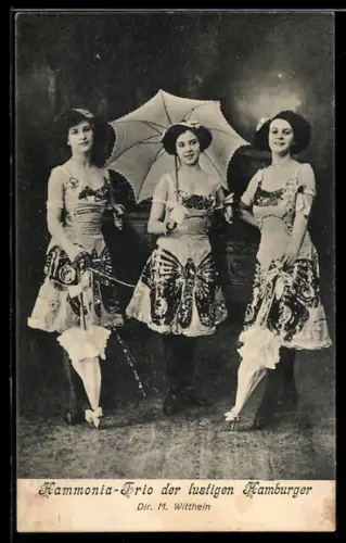 AK Hammonia-Trio der lustigen Hamburger, Dir. M. Witthein