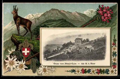 AK Hörnli-Kulm, Ortspartie mit Kühen