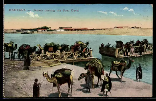 AK Kantara, Camels passing the Suez Canal