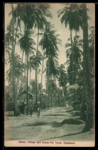 AK Singapore, Malay Village and Cocoa-nut trees