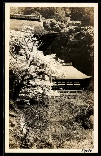 Foto-AK Kyoto, Traditionelles Haus im Frühling