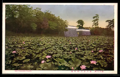 AK Fukuoka, The Fukuoka Castle
