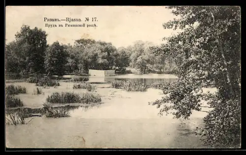 AK Rjasan, Teich im Rjuminski-Park