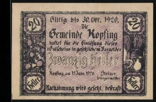 Notgeld Kopfing 1920, 20 Heller, florales Motiv mit Getreide und Keramik