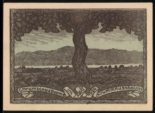 Notgeld Krummnussbaum 1920, 10 Heller, Landschaft mit Baum und zwei Männer im Gespräch