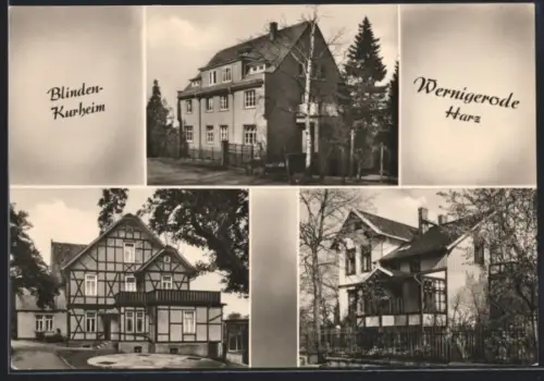 AK Wernigerode /Harz, Blinden-Kurheim, verschiedene Ansichten