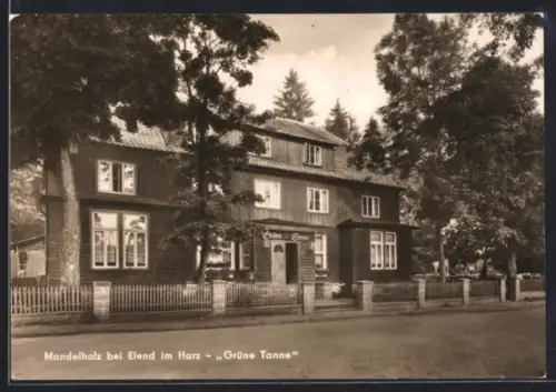 AK Mandelholz bei Elend, Gasthaus Grüne Tanne