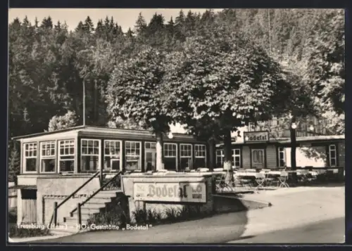 AK Treseburg /Harz, HO-Gaststätte Bodetal