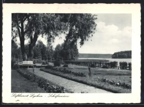 AK Lychen, Schäferwiese, Parkbank